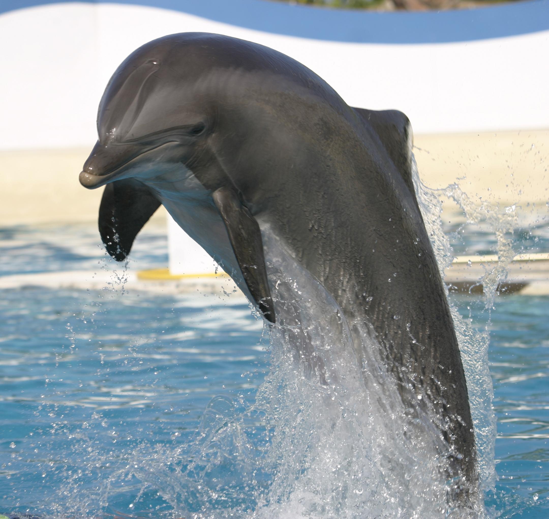 Marineland Resort Antibes Exterior foto